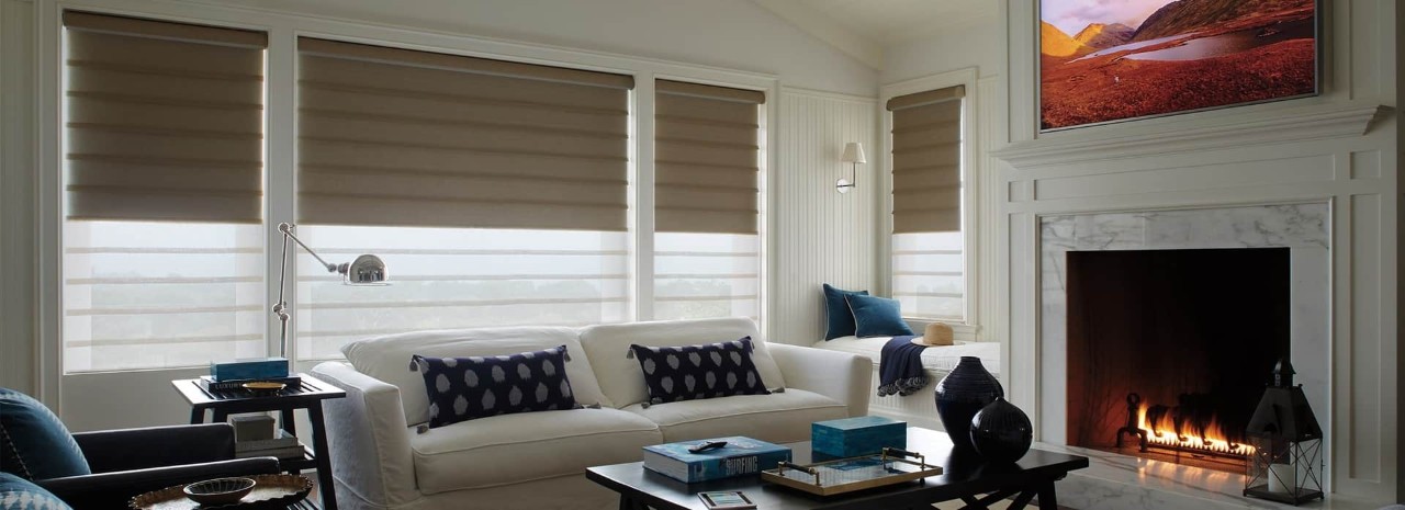 Window treatments near Arlington Heights, Illinois (IL), including Vignette® Modern Roman Shades that offer an uncluttered style.