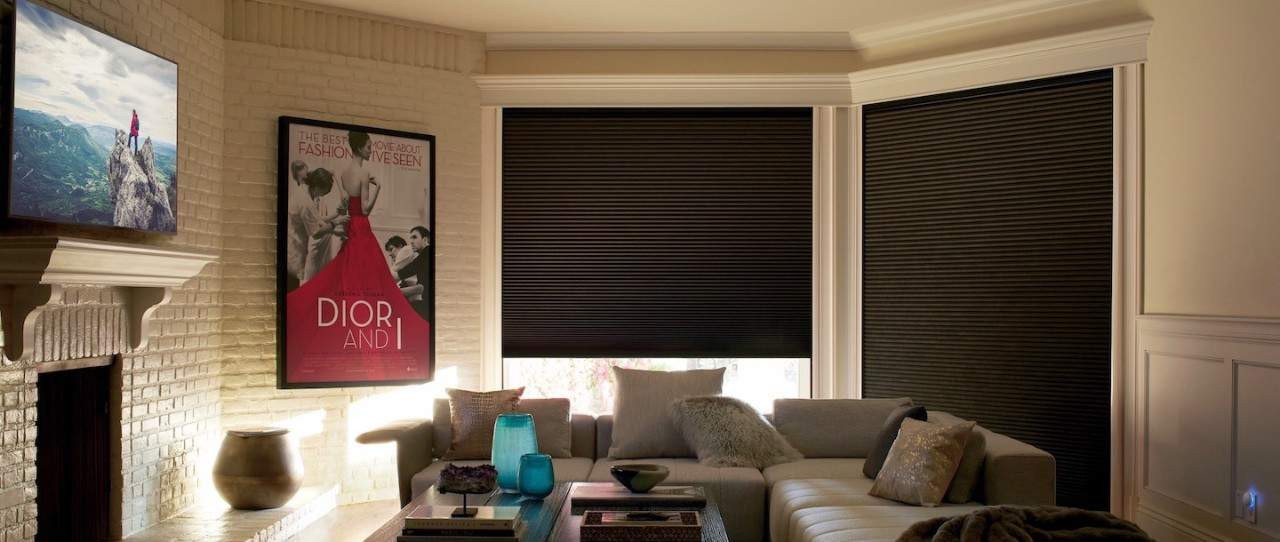 Blackout shades near Arlington Heights, Illinois (IL), that reduce glare on screens